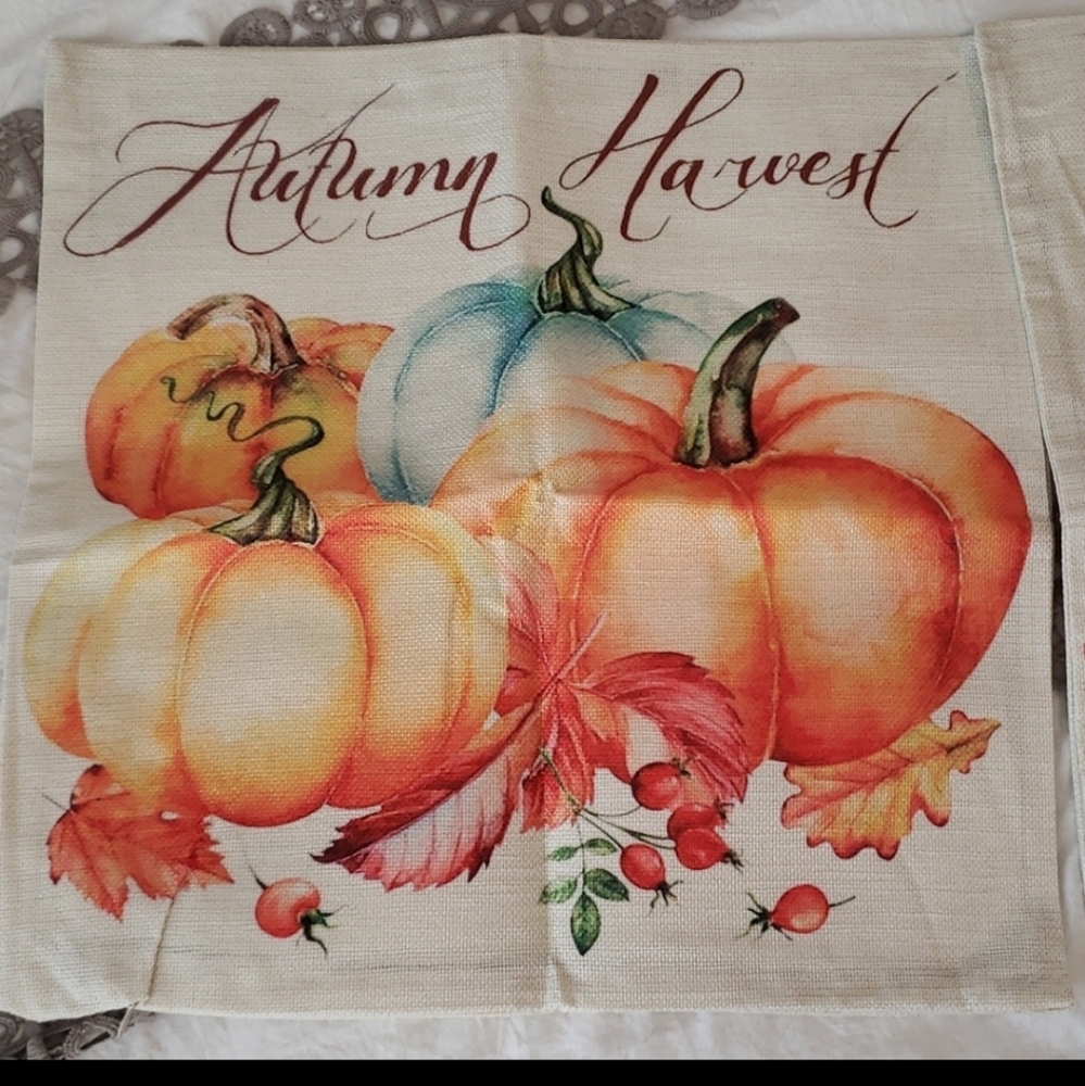 Punkin patch pillow case